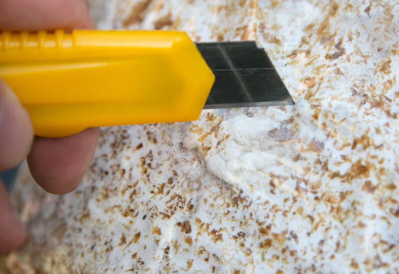 quartz-counter-chip-repair